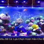 Đèn LED Đổi Màu Bể Cá